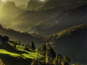 viewes, Meadow, trees, Mountains, Way, farm