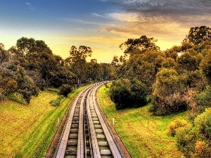 viewes, trees, Way, railway