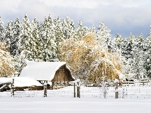 viewes, trees, farm, winter, Field