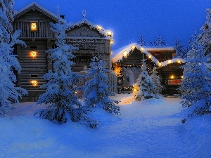 viewes, trees, illuminated, winter, Houses