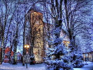 viewes, trees, winter, Church