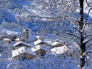 viewes, trees, winter, Houses