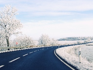 viewes, trees, winter, Way