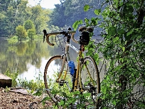 viewes, lakes, trees, Bike, woods, coast