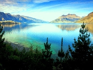 viewes, trees, lake, New Zeland, Mountains