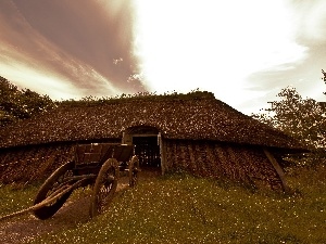 Vikings, Barn