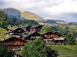 village, medows, Alps, Grindelwald, woods