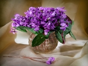 Violets, vase