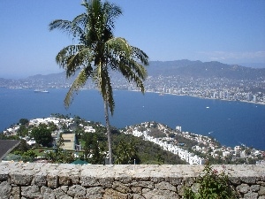 water, Palm, Acapulco, Mexico