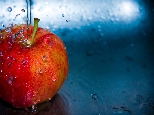 Apple, water, browned