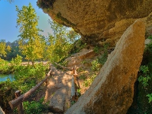 water, Path, cliff, forest