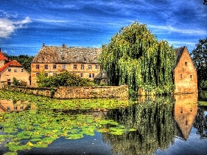 water, lilies, Willow, House, water