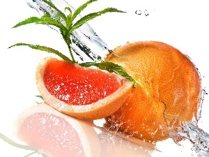 leaves, water, grapefruit