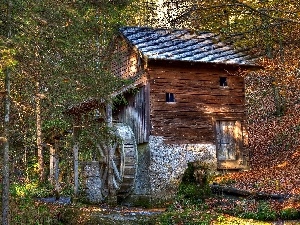 forest, Przebijaj?ce, ligh, flash, sun, slope, Windmill, luminosity, water