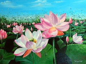 water, lilies