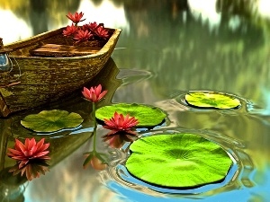 lilies, water, Boat