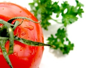 water, drops, mature, tomato