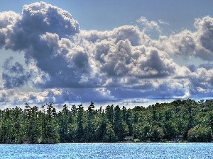 water, forest, puffs, clouds