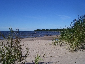 Sand, water, coast