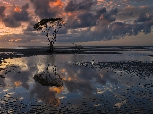 water, sun, clouds, trees, west