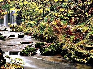 brook, waterfall, forest