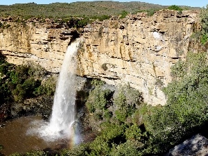 Bush, waterfall, rocks