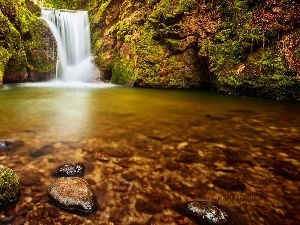 forest, waterfall, Stones