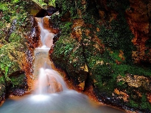 waterfall, fern, rocks, mosses