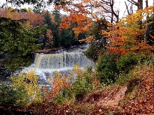 waterfall, scrub, trees, viewes