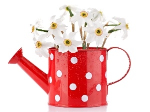 White, watering can, narcissus, peas, red hot