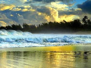 Beaches, Waves, sea