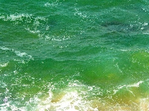 Waves, sea