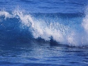 sea, Waves, blue