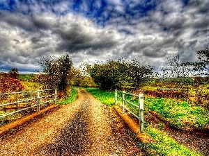 Way, viewes, clouds, trees