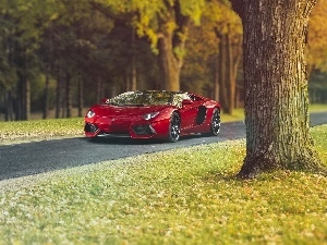 Way, Aventador, Red, Lamborghini