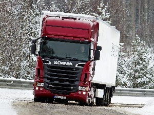 Way, forest, Scania R730