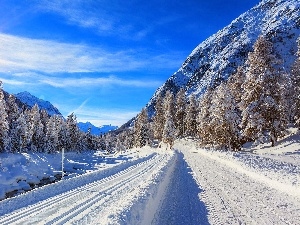 Way, winter, Mountains, sun, woods