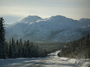 Way, Fog, Mountains, winter, woods