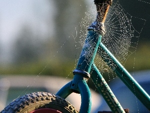 Web, Bike