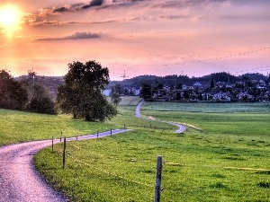 west, Way, field, sun, medows