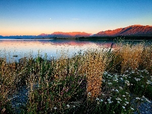 west, grass, Flowers, River, sun, Mountains