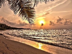 west, Palms, Sailboats, Coast, sun, Beaches