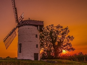 west, viewes, Windmill, sun, trees