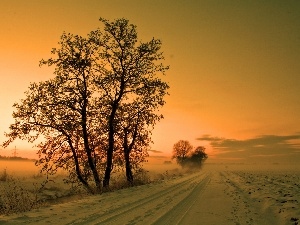 winter, west, viewes, Way, sun, field, trees