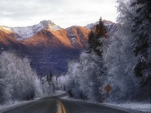 White frost, forest, Mountains, Way