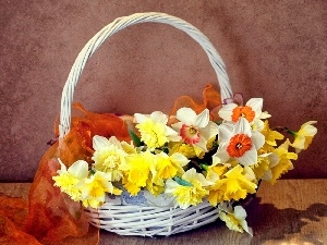 apatite, wicker, Daffodils, Spring, basket, Flowers, narcissus