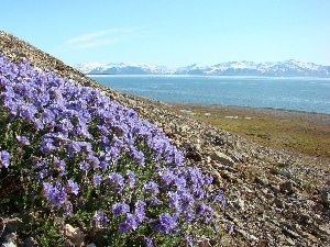 landscape, Wielosi? blue