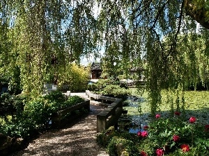 Willow, Pond - car, Garden, bridges