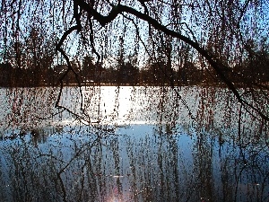 lake, Willow, frozen