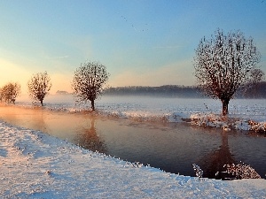 willow, rivers, winter, edges